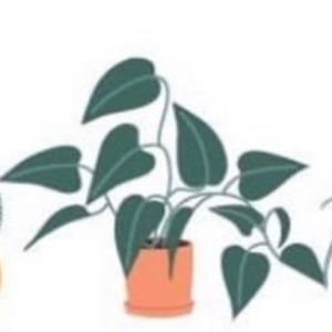 Meet your Posher, Sinead